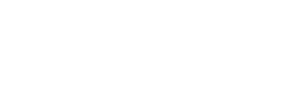 Wizly logo