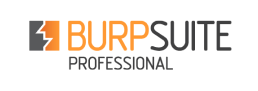 Point solutions | BurpSuite