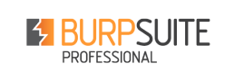 Point solutions | burpsuite