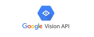 Point solutions | google-vision-api