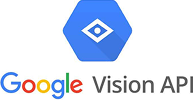 Google Vision