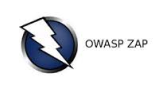 Point solutions | owasp-zap