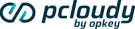 Point solutions | Pcloudy