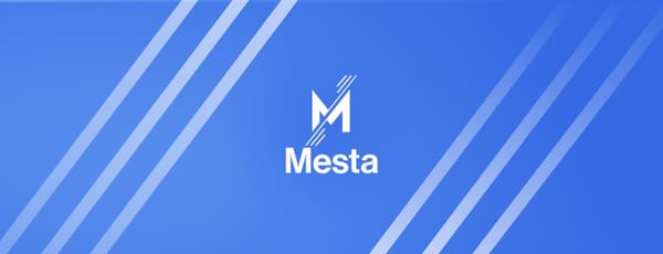 Mesta secures $2M to expand hybrid fiat-stablecoin payment rails