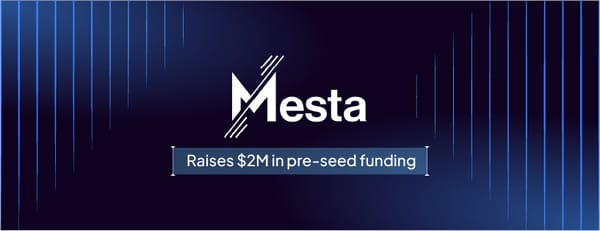 Mesta secures $2M to expand hybrid fiat-stablecoin payment rails